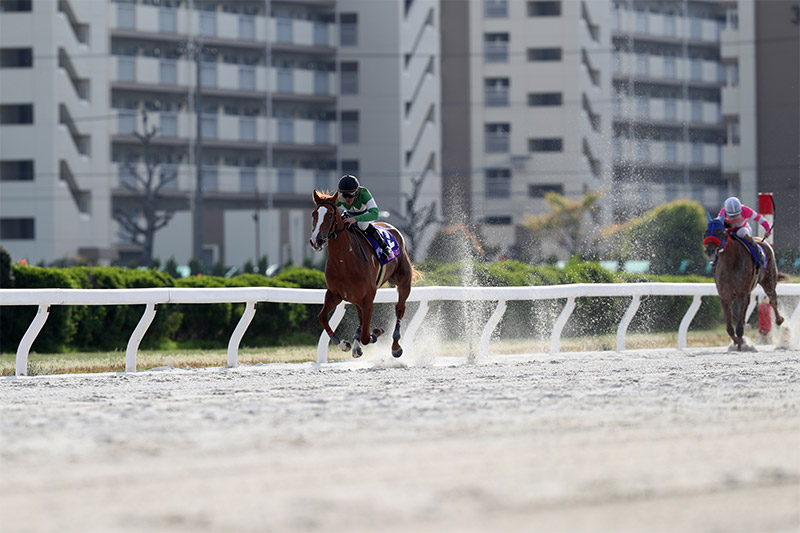 2019年 ゴールドリング　単勝元返しにこたえて楽勝