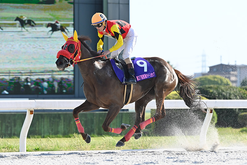 2021年 ニジイロ　4コーナー先頭から押し切る