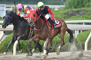 過去5年の競走成績 2018