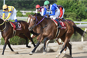 過去5年の競走成績 2019