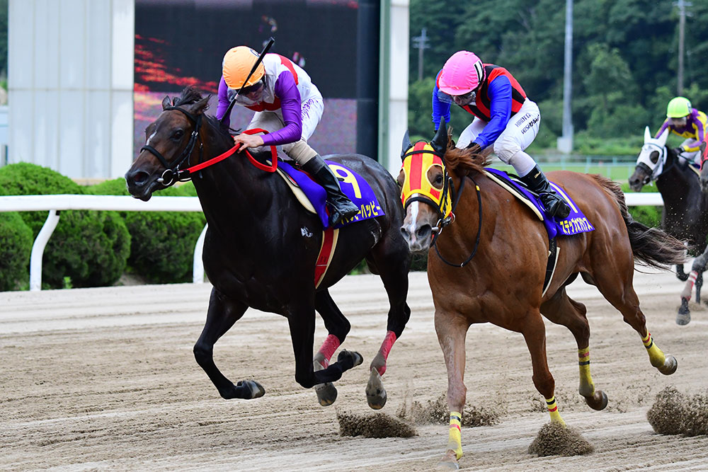 過去5年の競走成績 2019