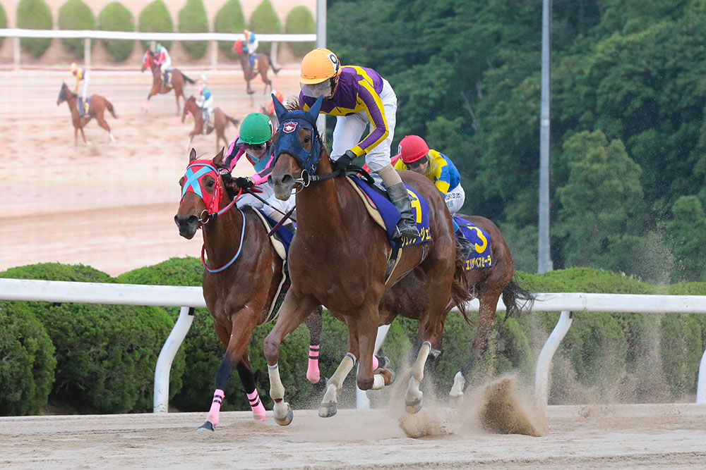 過去5年の競走成績 2020