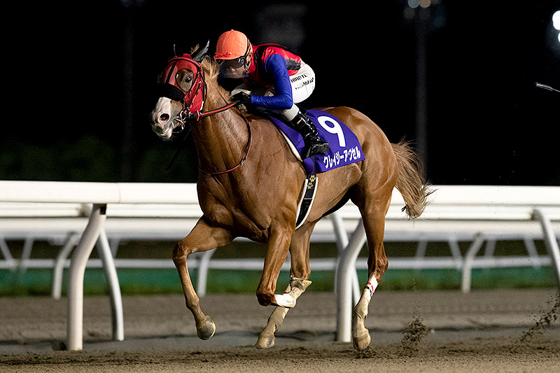 2019年 クレイジーアクセル 大井からの長距離遠征が奏功