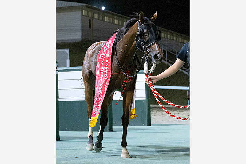 2021年 コーラルツッキー　2歳女王が1年9カ月ぶり勝利