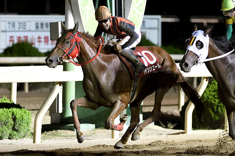 2019年 エイシンエール 出遅れも直線勝負で差し切る