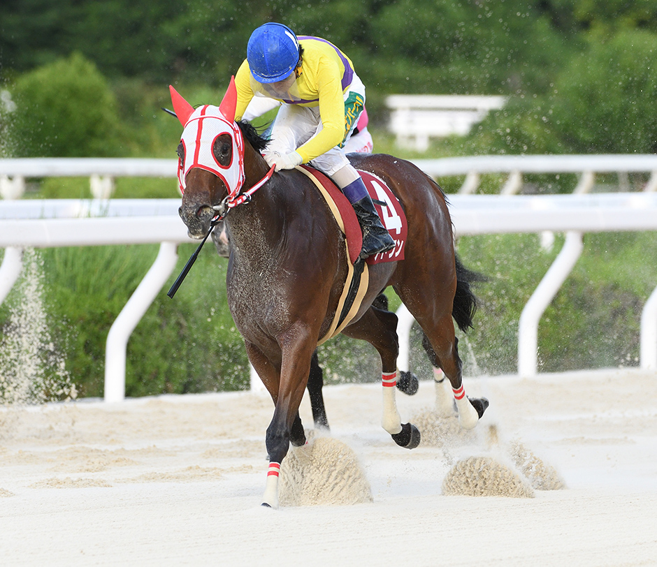 園田プリンセスカップ ゴール前