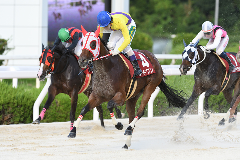 2022年 アドワン ロスなく運んで直線抜け出す 3馬身差快勝で母娘制覇達成