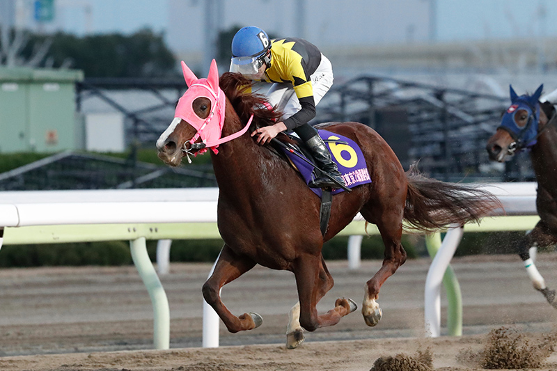 2022年 メイドイットマム 一気に他馬を置き去り4馬身差