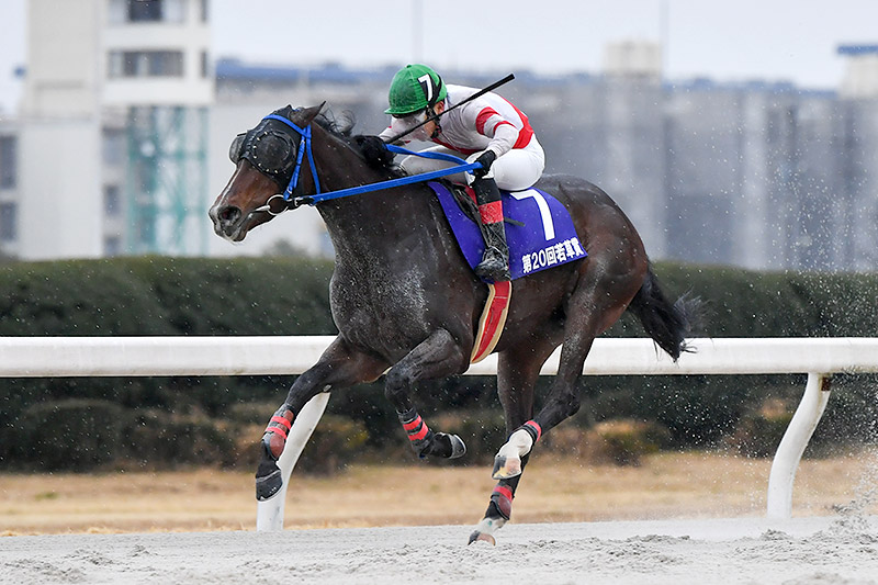 2022年 アンティキティラ　断然人気にこたえ遠征で重賞連勝