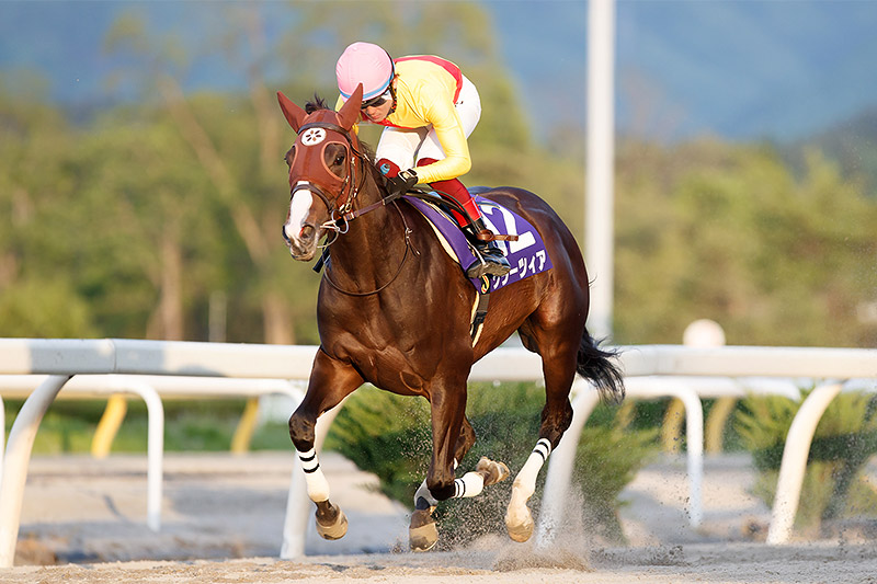 2022年 グラーツィア 圧巻の10馬身差で重賞連勝