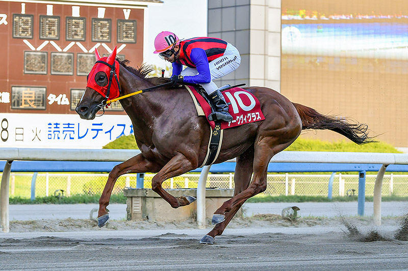 2020年 アークヴィグラス　2歳女王が遠征で復活の勝利