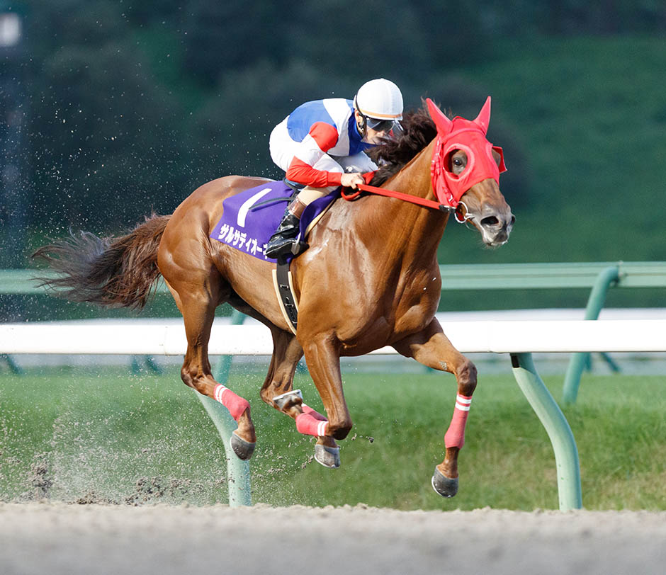 ビューチフルドリーマーカップ ゴール前