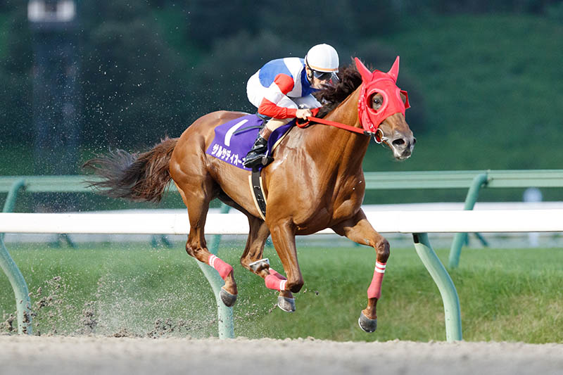 2022年 サルサディオーネ　スローの逃げで5馬身差圧勝