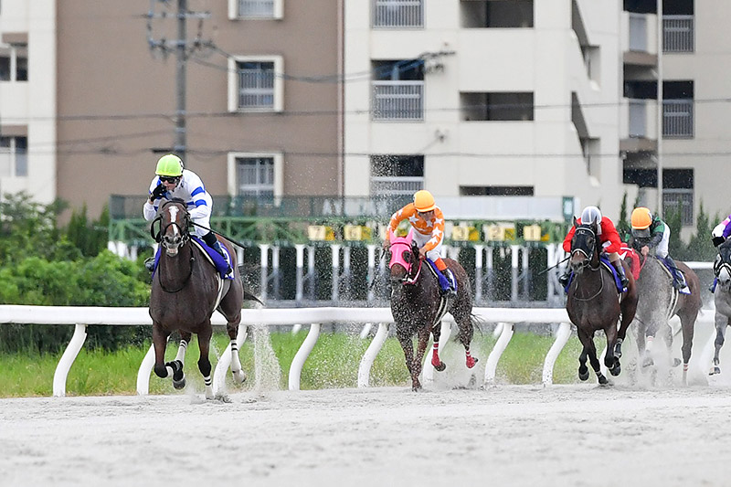 2021年 グランデストラーダ　断然人気に応え7馬身差圧勝