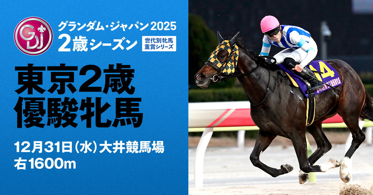 地方競馬　大井競馬のあゆみ 地方競馬 大井競馬のあゆみ 地方競馬 大井競馬のあゆみ 【公式通販】
