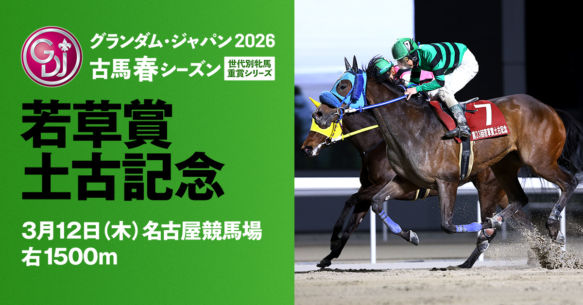 出馬表 - 若草賞土古記念 | グランダム・ジャパン2026 古馬 春シーズン