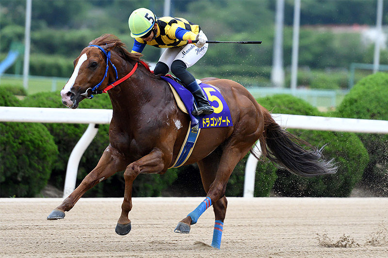 2021年 ドラゴンゲート 新進気鋭の鞍上を背に連覇達成