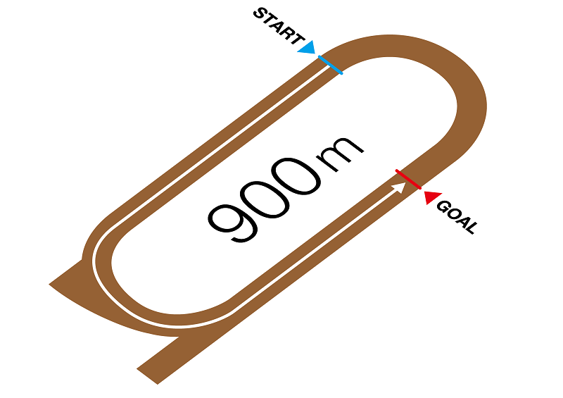 川崎スパーキングスプリント コース