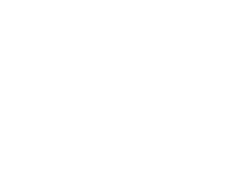 園田FCスプリント