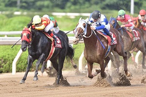 過去5年の競走成績 2018