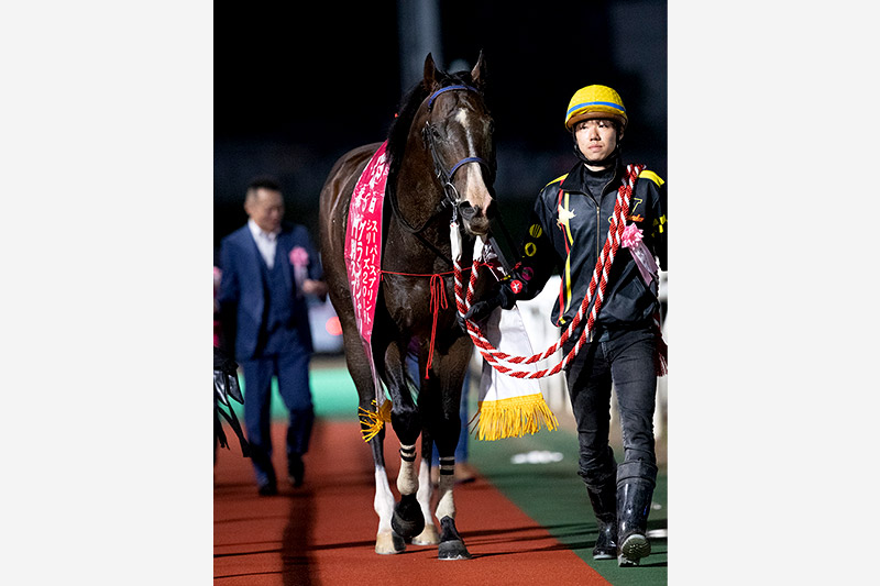 2019年 メイショウアイアン　好スタートを決めゴール前差し切る