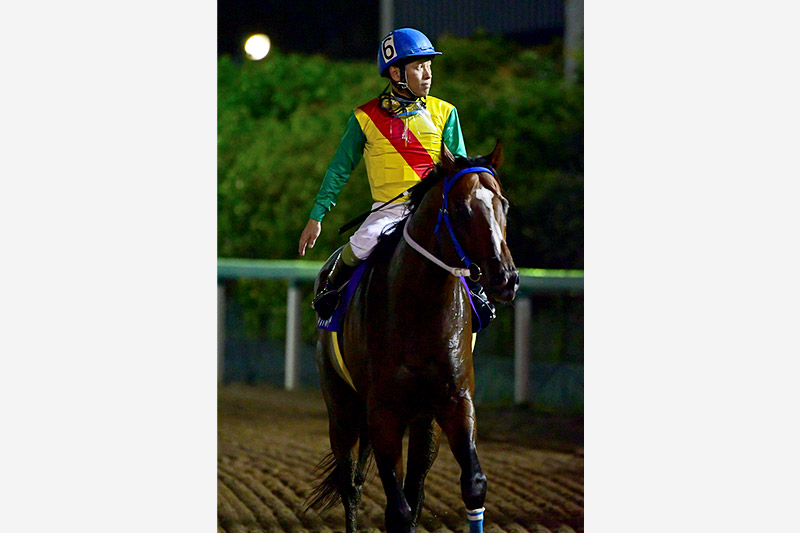 2019年 ノブワイルド 連覇を狙う人気馬を競り落とす