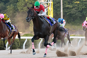 過去4年の競走成績 2019