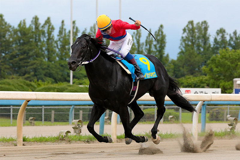 2019年 エイシンテキサス　狙った超短距離戦で快心の勝利