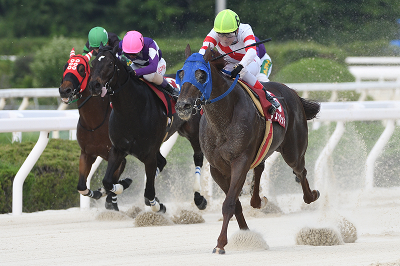 2022年 ダノングッド　離れた3番手から差し切り5馬身差 高知・別府厩舎が連覇でワンツー