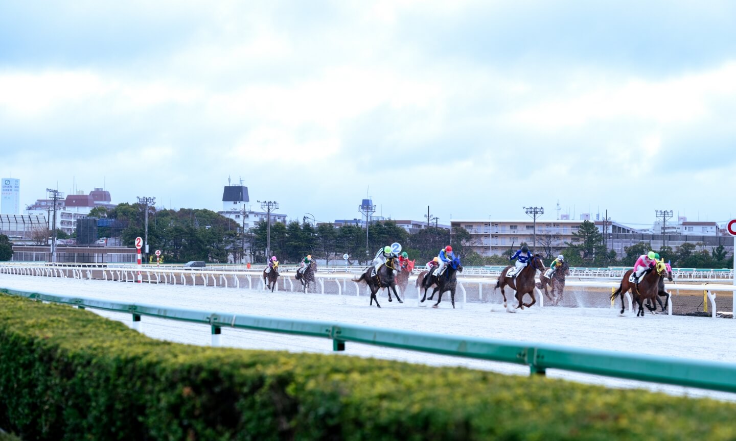 部署および業務紹介