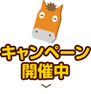 キャンペーン開催中！