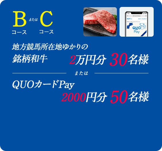 BまたはCコース 地方競馬所在地ゆかりの銘柄和牛2万円分 30名様 QUOカードPay 2000円