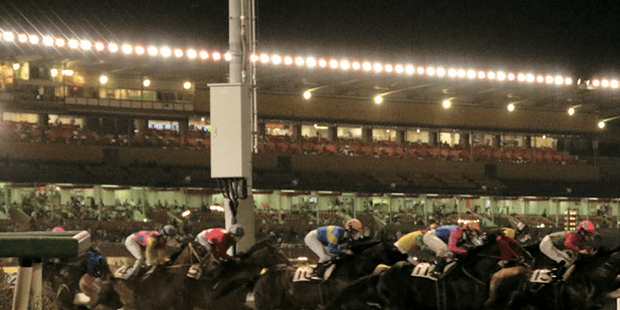 船橋競馬場02
