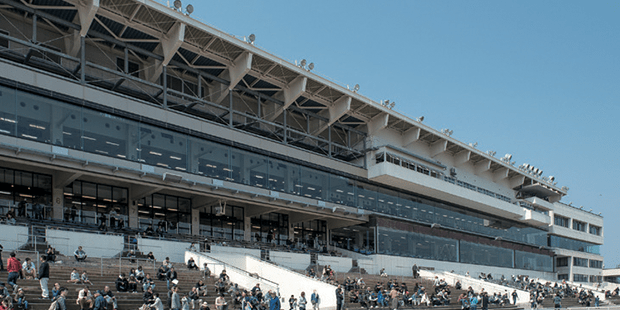 金沢競馬場02