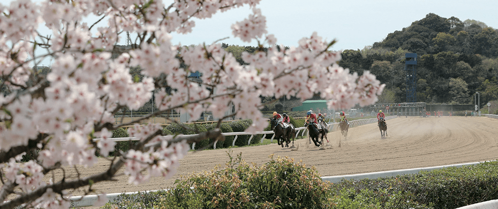 佐賀競馬場01