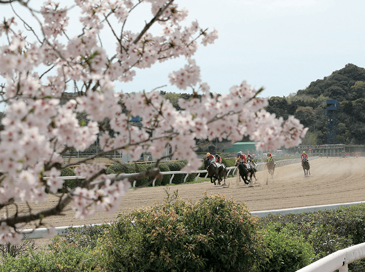 佐賀競馬場01