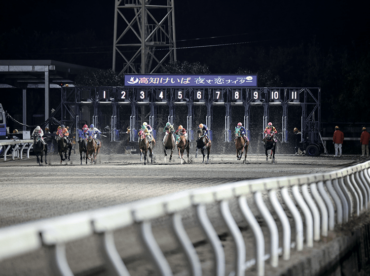高知競馬場01