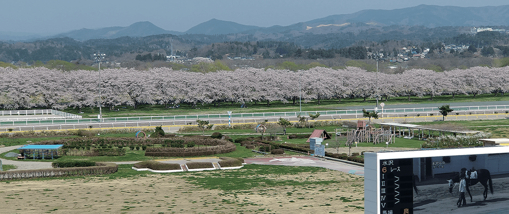水沢競馬場01