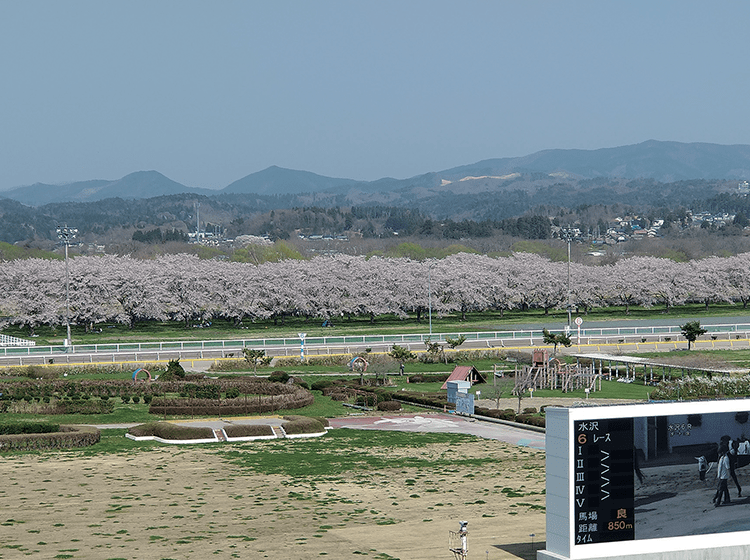 水沢競馬場01