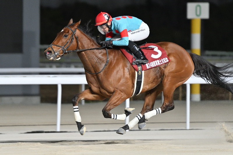 マーブルマウンテン(シリーズ第4戦目 若草賞土古記念 勝利時)
