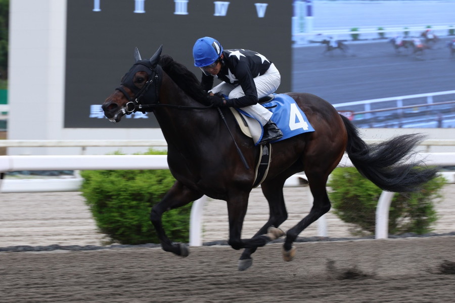 (提供:高知県競馬組合)