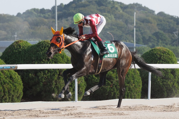 YJS TR佐賀第1戦を制した長谷川蓮騎手(佐賀)
