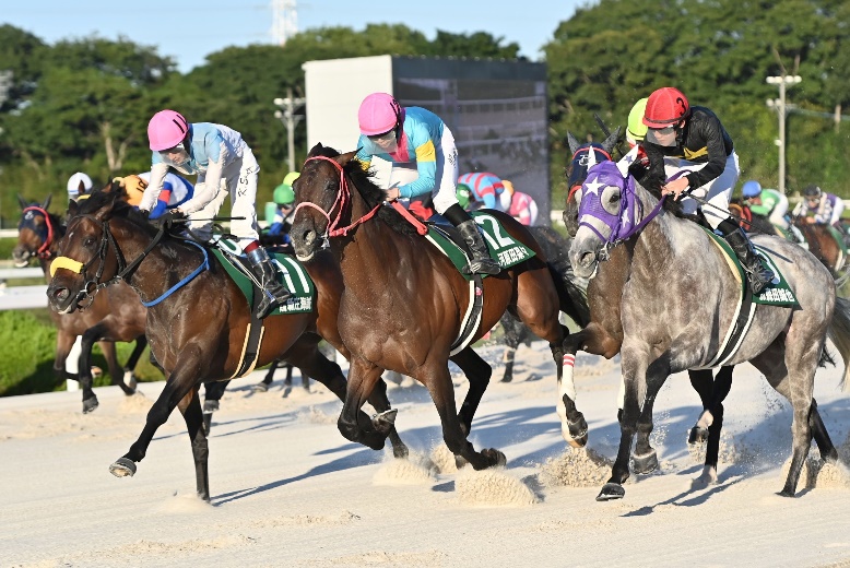 YJS TR園田第２戦を制した河原田菜々騎手(JRA)