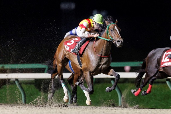 YJS TR盛岡第2戦を制した高橋優騎手(大井)
