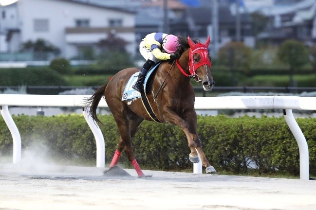 YJS TR浦和第2戦を制した藤田凌駕騎手(北海道)